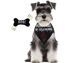 Kit pour chien loup-garou : bandana et os