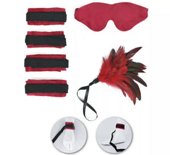 Kit Soutiens-gorge Sexy : Masque, Plumes et Soutiens-gorge