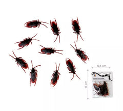 Pack de 10 Cafards Bruns