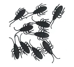 Pack de 10 blattes noires de 7 cm