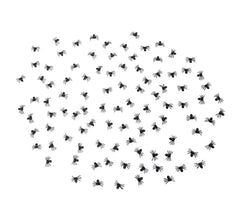 Pack de 100 Araignées de 1,5x2 cm