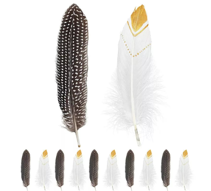 Translation missing: fr.Pack de 12 Plumas de Indio en colores surtidos