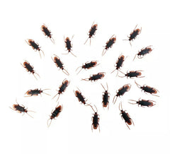 Pack de 24 Cafards de 7x2 cm
