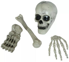 Pack de 4 os de squelette