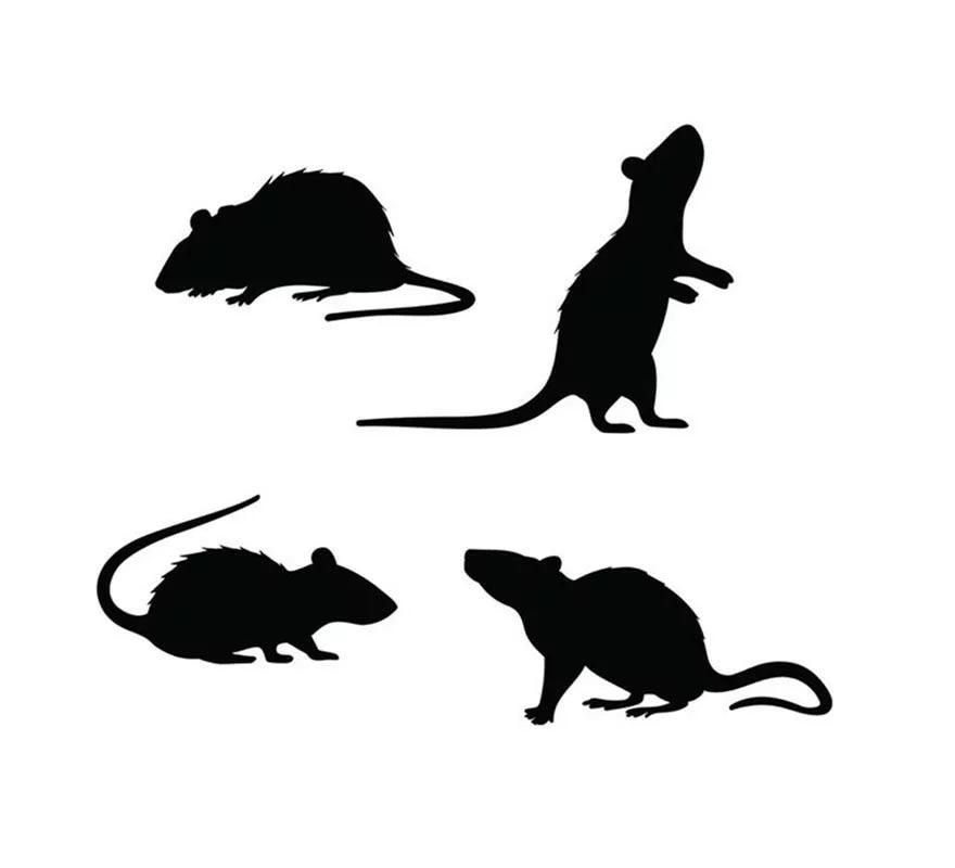 Translation missing: fr.Pack de 4 Siluetas de Ratas negras