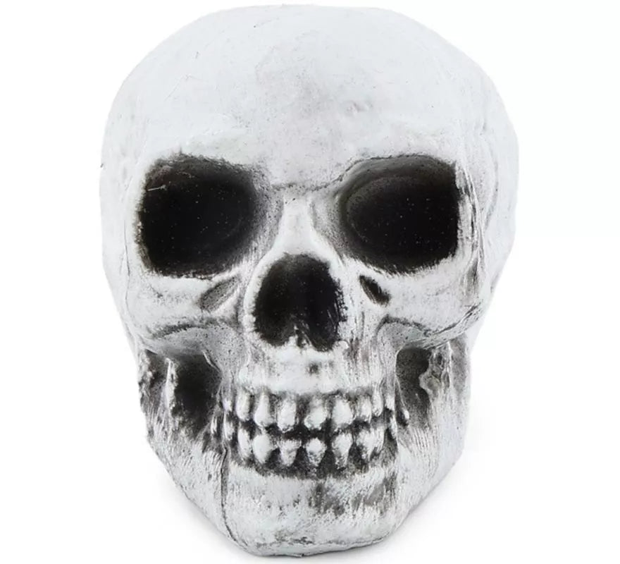 Translation missing: fr.Pack de 6 Calaveras