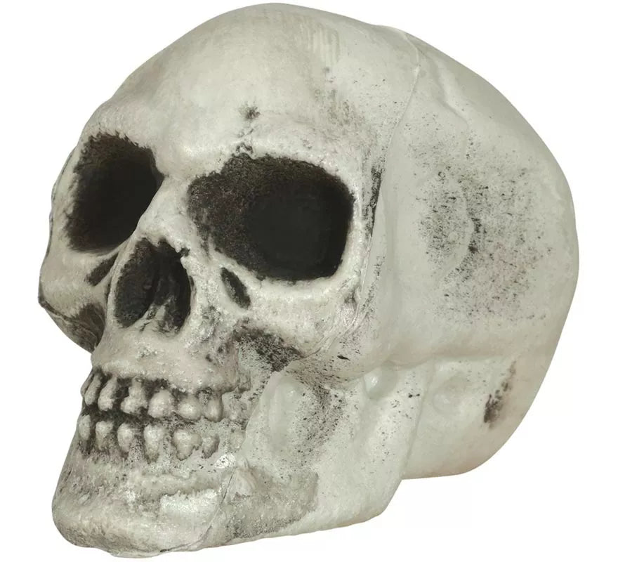 Translation missing: fr.Pack de 6 Calaveras 8 cm