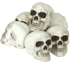 Pack de 6 Crânes 8 cm