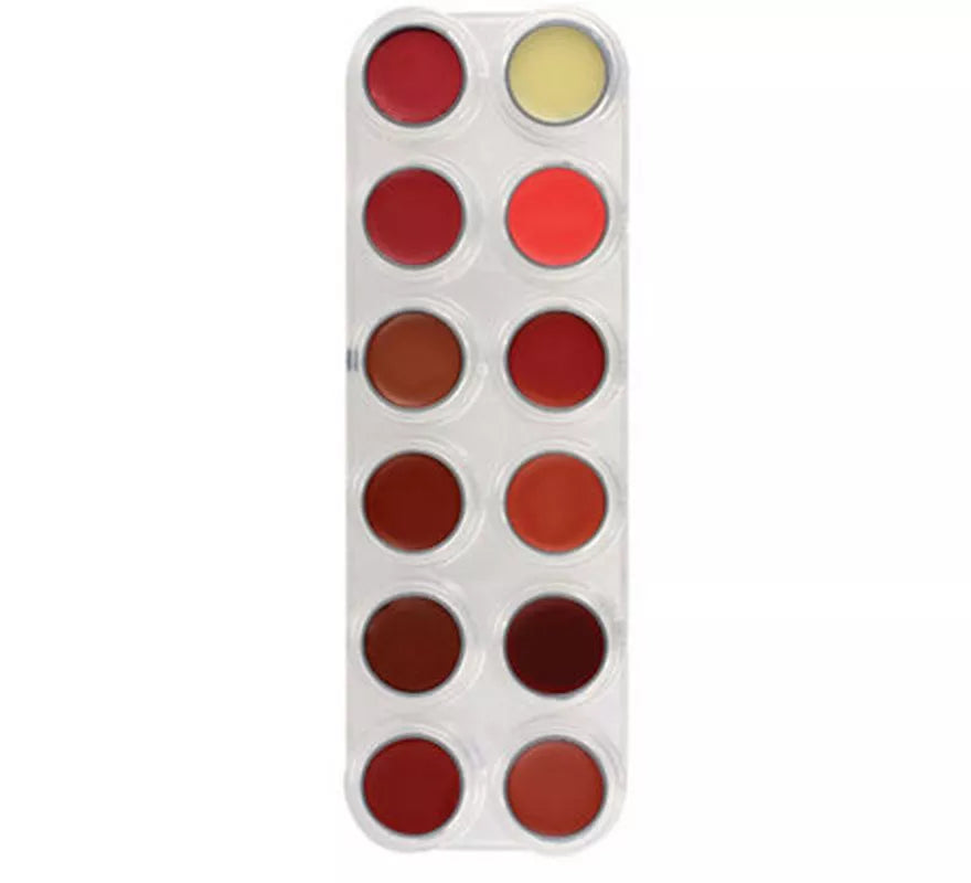 Paleta Labiales 12 Colores Lb