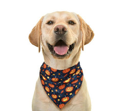 Bandana pour animaux de compagnie citrouille