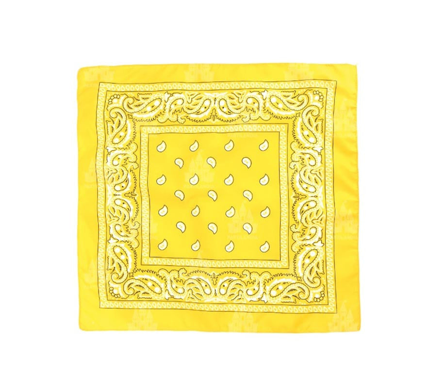 Translation missing: fr.Pañuelo Paisley de 54x54 cm en varios colores