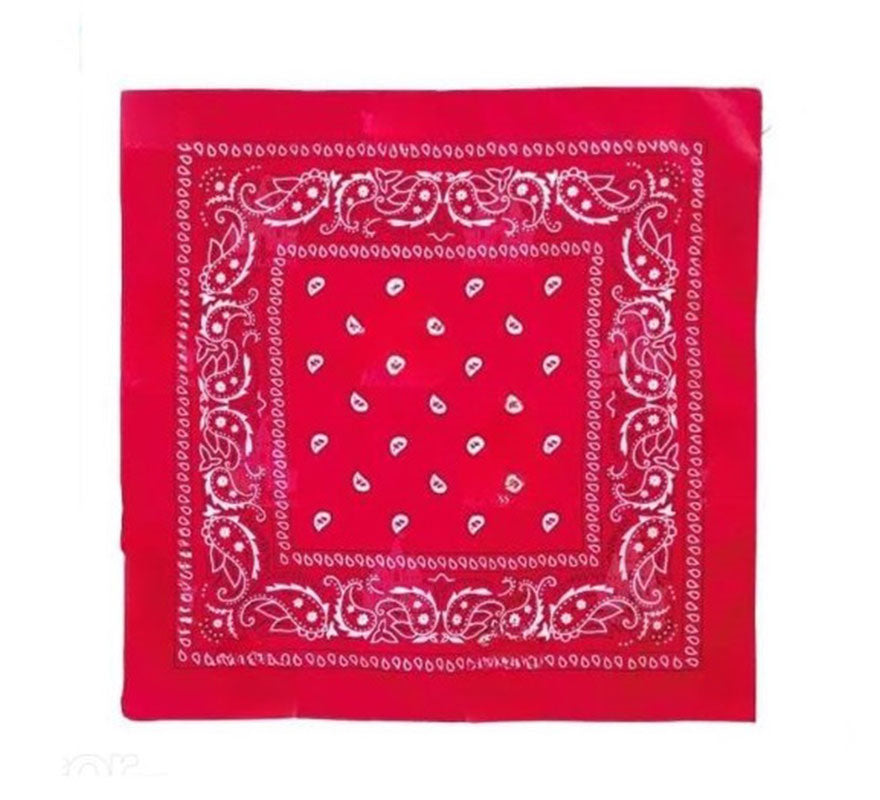 Translation missing: fr.Pañuelo Paisley de 54x54 cm en varios colores