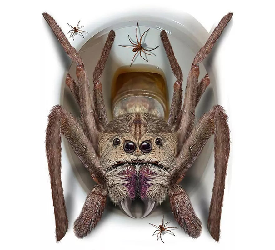 Translation missing: fr.Pegatina Araña Gigante para tapa de inodoro de 30x40 cm