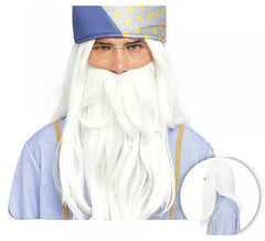 Perruque de magicien à longue barbe adulte
