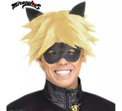 Perruque et Mi Masque Cat Noir en boîte pour homme