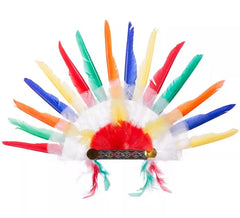 Panache Indien Multicouleur de 58x38 cm