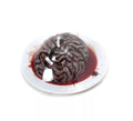 Plato con Cerebro falso de 20x8x20 cm
