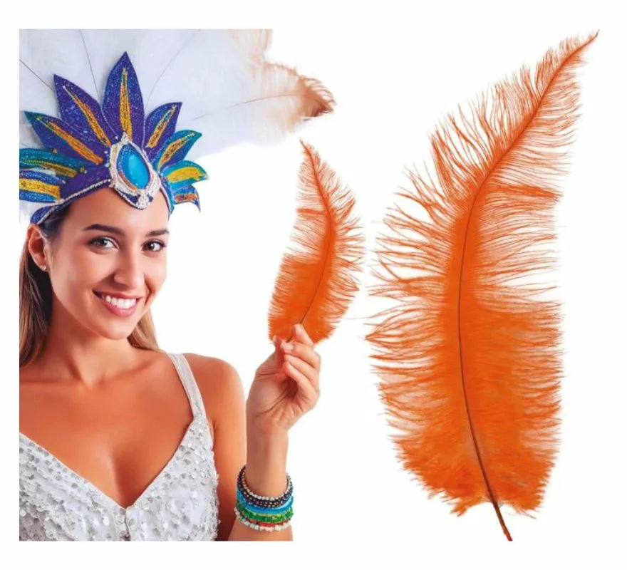 Translation missing: fr.Pluma de Avestruz Grande en varios colores 40 cm