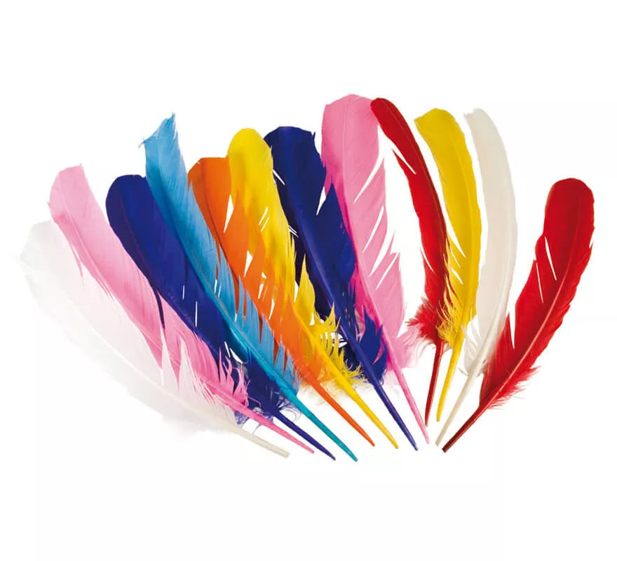Translation missing: fr.Pluma suelta de Indio de 30 cm 7 colores surtidos