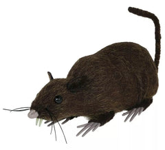 Rat brun de 15 cm