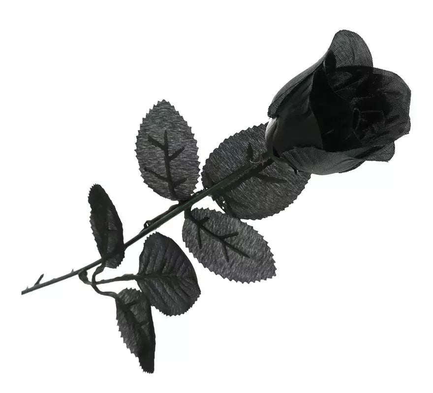 Translation missing: fr.Rosa Negra 42 cm