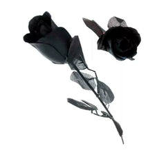 Rose noire aux feuilles noires