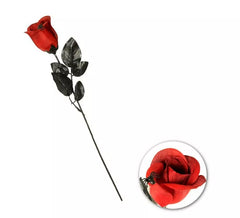 Rose rouge avec araignée