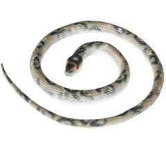 Serpent en latex de 70 cm