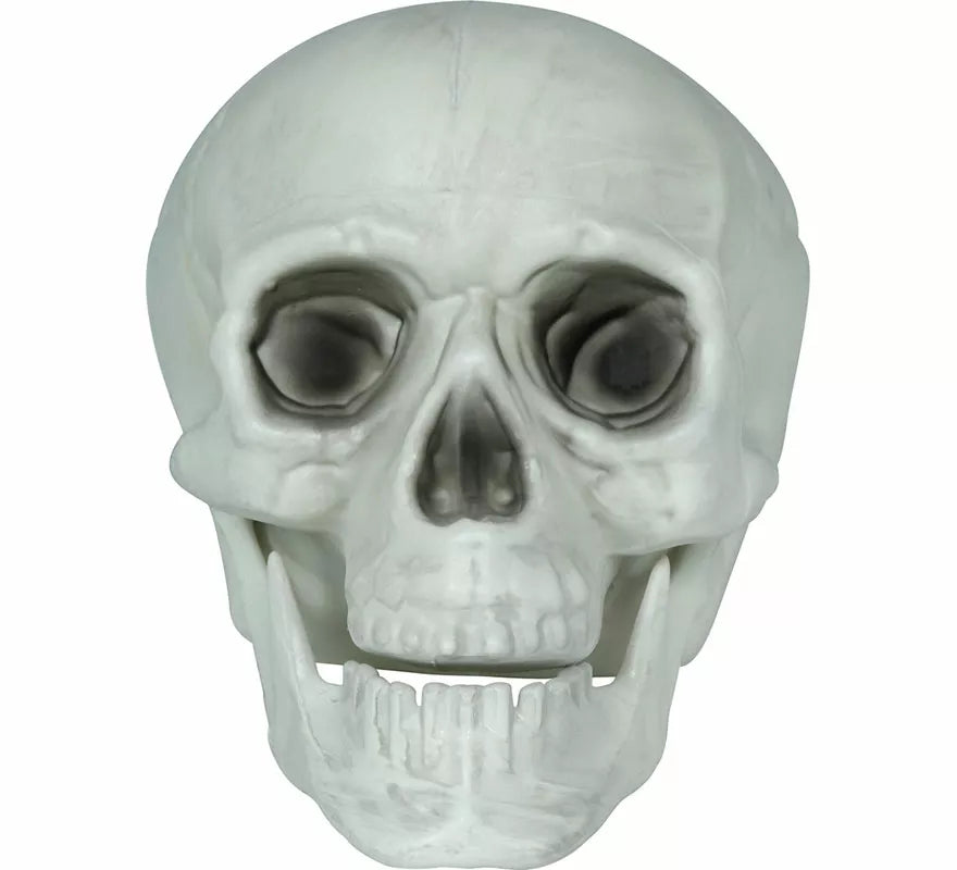 Translation missing: fr.Set 3 Calaveras de 15 cm